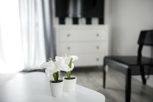 Apartament Nadbystrzycka No.07