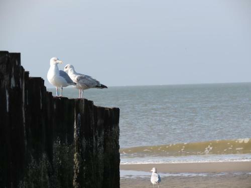 Hotel De Vier Seizoenen