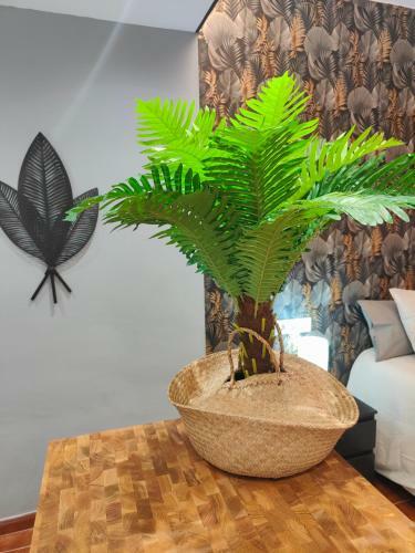Palm View Luxury Apartment