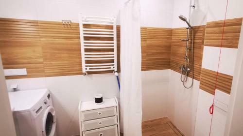 Apartament Zdrojowy 62 K