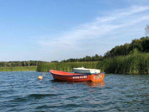 Domek Franianiesulice