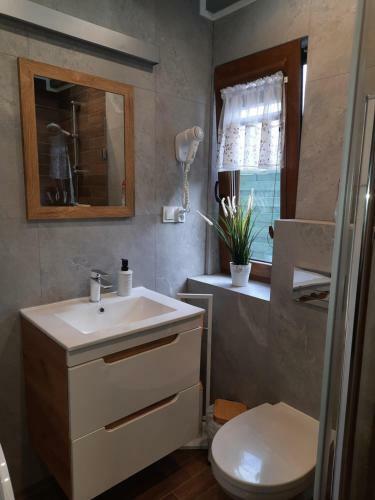 Lodge Domki Niesio?owice