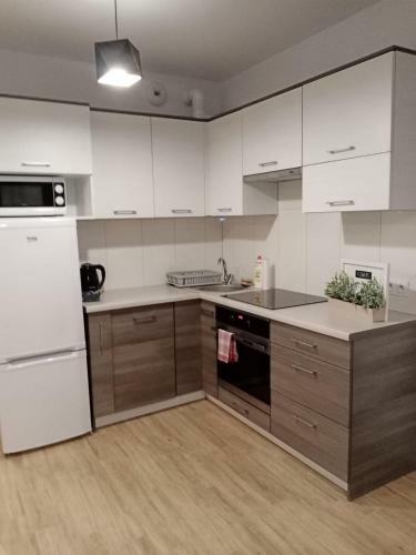 Apartament Zielona Per?a
