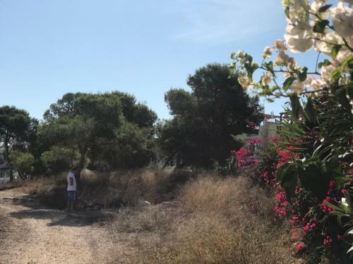 Apartamento Appartement Kyrah