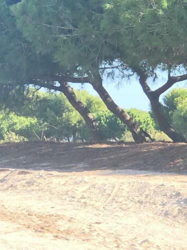 Apartamento Appartement Kyrah