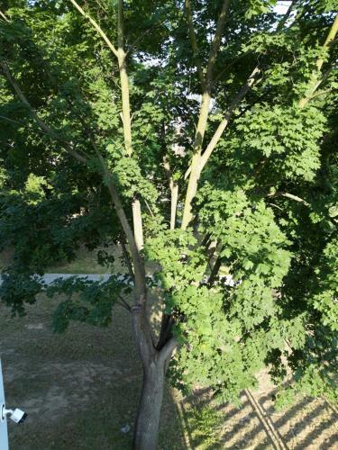 Apartamenty Polna