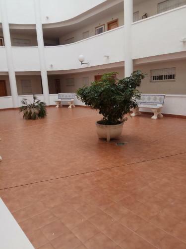 Apartament Margaret