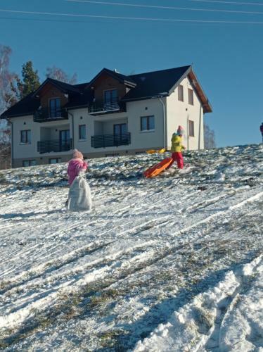 Apartamenty Bieszczadzki Horyzont