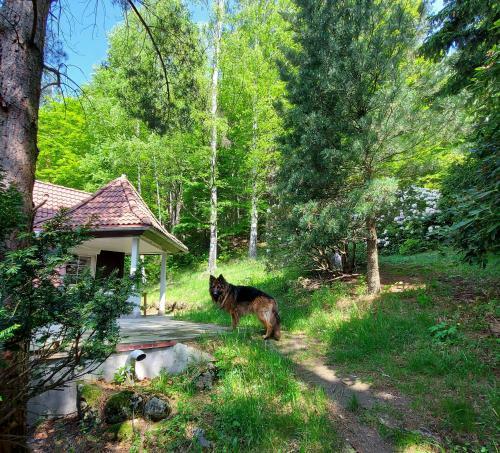 Apartamento "dom Z Dusz? - Przesieka"