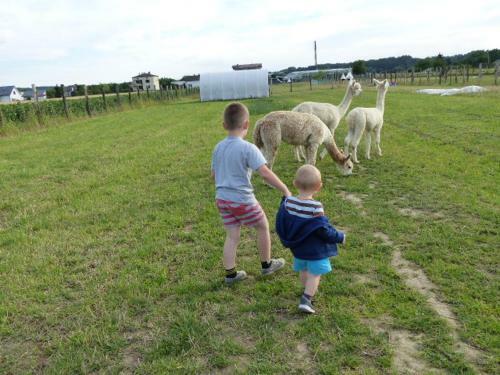 Agroturismo Alpaka-ranczo Aff