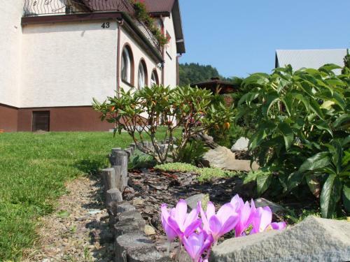 Agroturismo Orlikowe Wzg�rze
