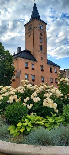 Apartamento Kamienica Radk�w