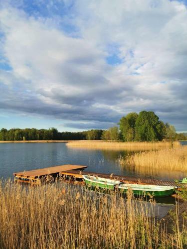 Apartamento Forest House - Domy Mazur