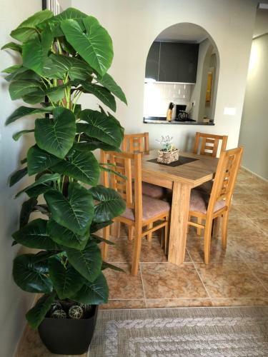 Apartamento Torrevieja - Caballero De Rodas 173
