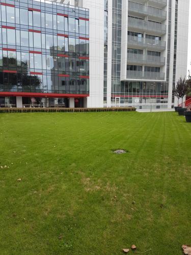 Apartament Towarowa 37