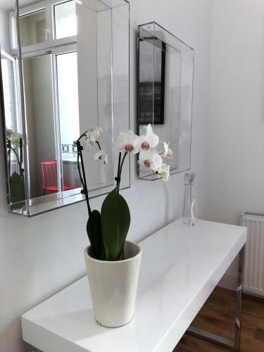 Apartamento Piper Park Wilsona & Targi