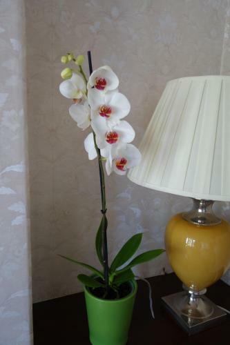 Rathvale Self-catering Apartments