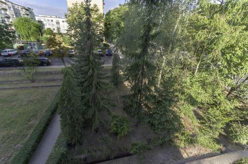 Apartament Dwupokojowy Pozna?- Blisko Centrum
