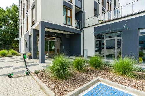 Warta Residence Apartments By Renters