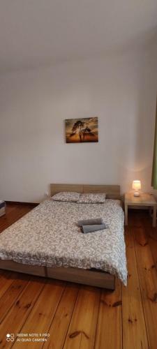 Lilia House Poznan