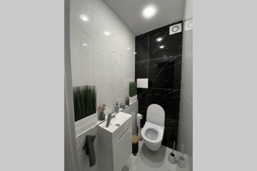 Apartament Zielona Nad Sanem