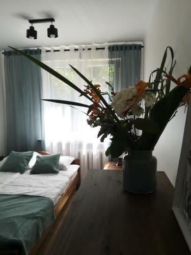 Apartament Przy Star�wce