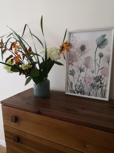Apartament Przy Star�wce