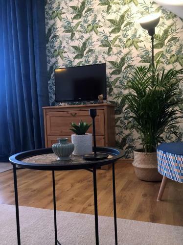 Koralia Domki I Apartamenty