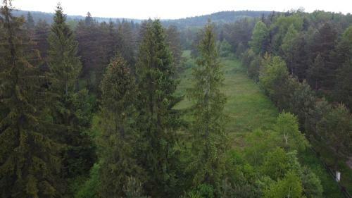 Smerekowiec Domek W Lesie