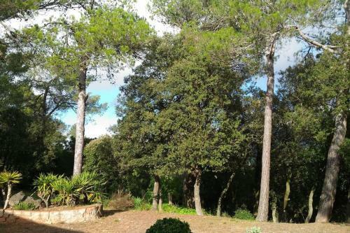 Villa Con Vistas A Montserrat
