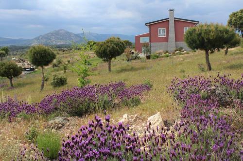 Villa Finca El Enebro