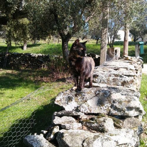 Posada La Caba�a Romantica De Llano