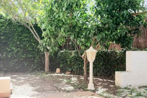 Family House For 6 People In Valldemossa
