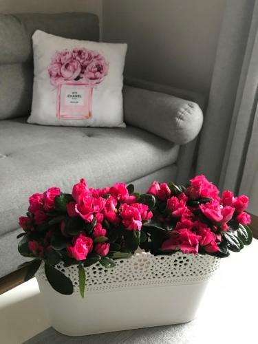 Glamour Apartment Przy Pla?y