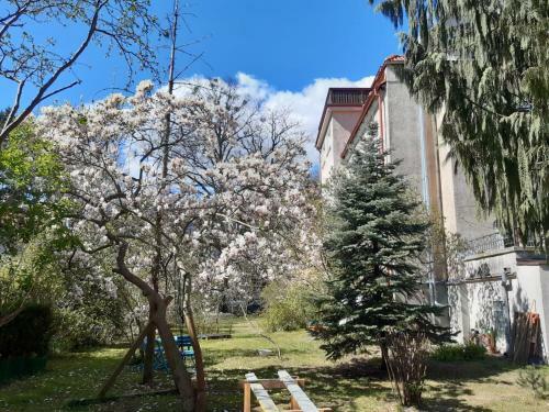 Apartament Przy Lipowej
