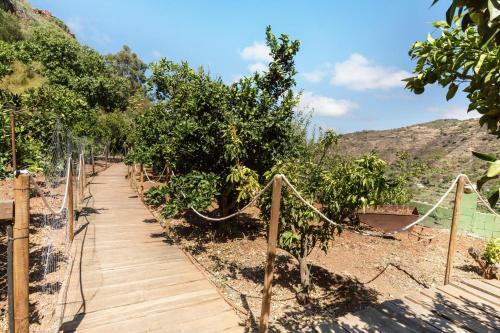 Vcv Casa Rural La Yedra