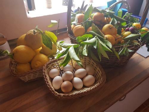 Finca Rural Torres Casas 1 Y 4 Low Cost