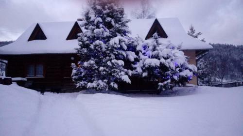 Agroturismo G�ralska Czarcia Chata Pod Ja?owcem