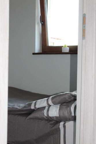 Lodge Domek Letniskowy 8-osobowy