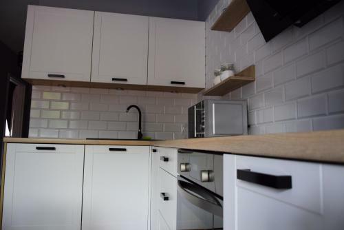 Apartament Wiktoria ?wierad�w Zdr�j