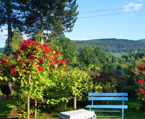Apartamento Dom Na Przedg�rzu