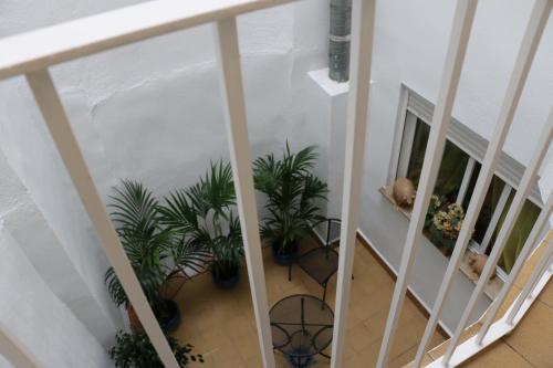 Apartments Abate 4