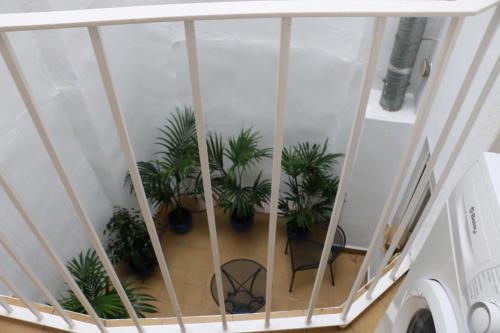 Apartments Abate 4