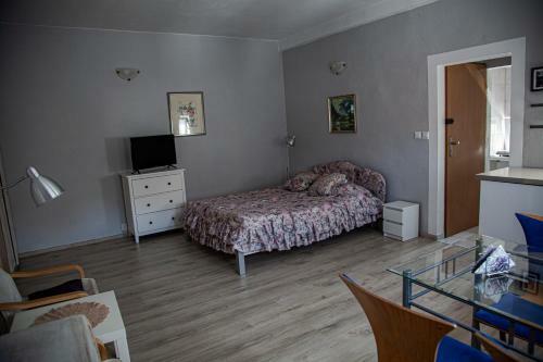 Apartamenty W Starym Kinie