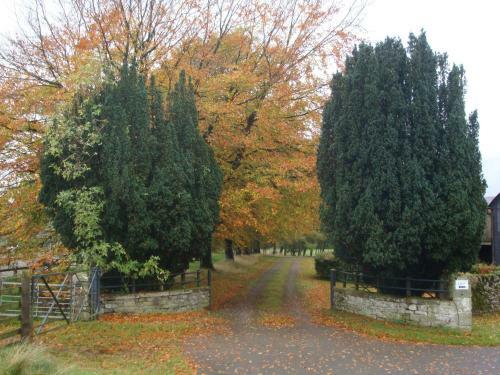 Abbotshaw House Farm B&B