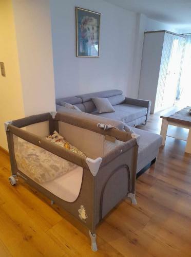 Apartament U Antosia Szczawnica