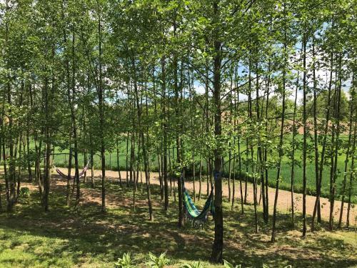 Apartamento Nowy Dom Udrycze