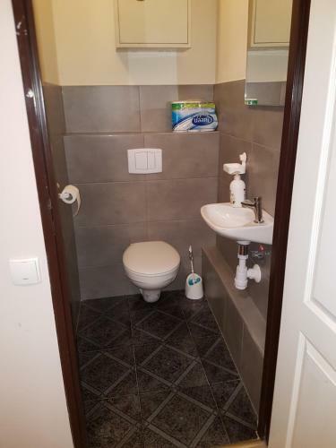 Albergue Noclegi Silesia Aster