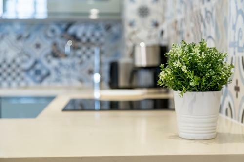 Apartamento Cathedral Luxury Terrace Flat 2br,2ba, Ac,wifi