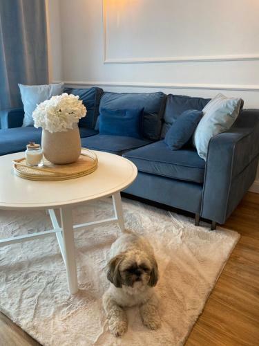 Apartament Niebieskie Migda?y